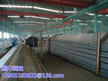 gfhrr3464.jpg